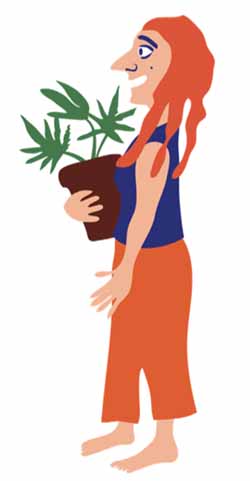 אישה-מחזיקה-עציץ-קנאביס איור: דותן מורנו